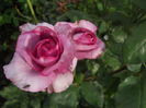 DSCN9453