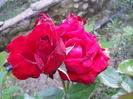 DSCN9472