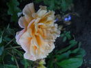DSCN9473
