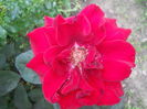 DSCN9475