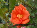 DSCN9478
