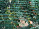 DSCF1905