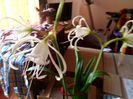 IMG_20160604_065328