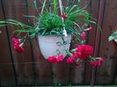 IMG_20160604_062832