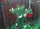 IMG_20160604_062818