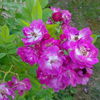 IMG_20160604_184613