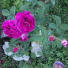 IMG_20160604_212052