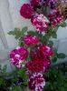20160602_165801