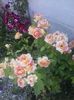 20160602_165822