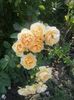 20160602_174830