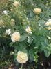 20160602_174843