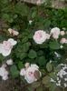 20160603_142409