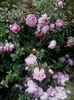 20160603_142918