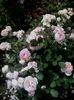 20160603_142923