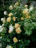 20160604_075741