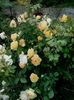 20160604_075746