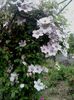 20160604_075845
