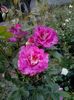 20160604_075916