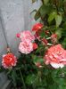 20160604_080243