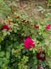20160604_122948