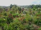 20160604_125529