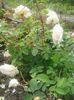 20160605_081521