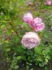 20160605_081533