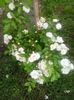 20160605_081819
