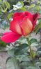 20160605_181650
