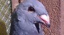 IMG_20160605_173901