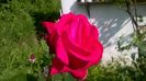 WP_20160603_09_31_37_Pro