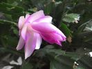 WIN_20160606_095254