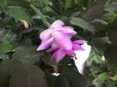 WIN_20160606_095333