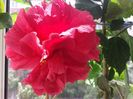 20160606_122850