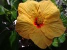 20160606_122910