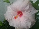 20160603_183424