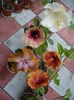 P1270123