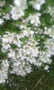 IMG_20160605_190803[1]