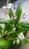 IMG_20160606_183813[1]
