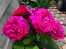 DSC00195
