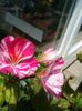 20160606_131956