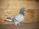 DSCN0287