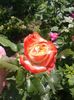 20160605_142926