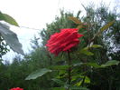 IMGP9511