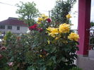 IMGP9562