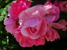 DSC00361