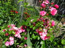 DSC00426