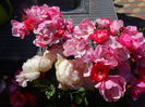 DSC00368