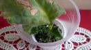 WP_20160607_18_11_19_Pro