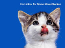 licking-kitten-funny-pets-wallpaper